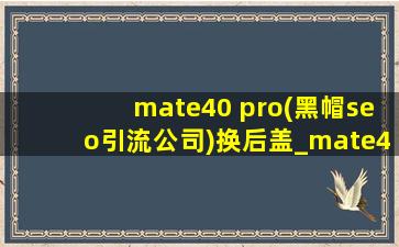 mate40 pro(黑帽seo引流公司)换后盖_mate40 pro(黑帽seo引流公司)升级内存